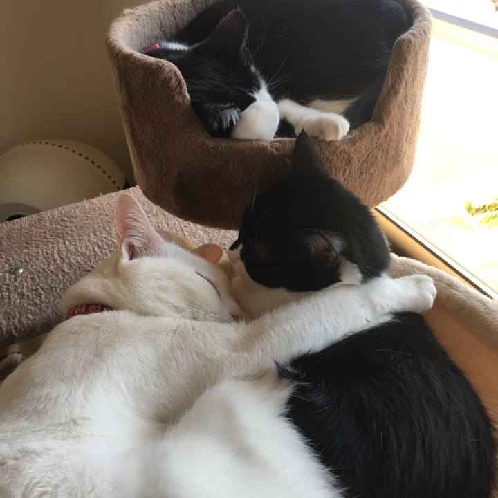 D1d5043c b98f 47f7 80aa 4a03865a76e5