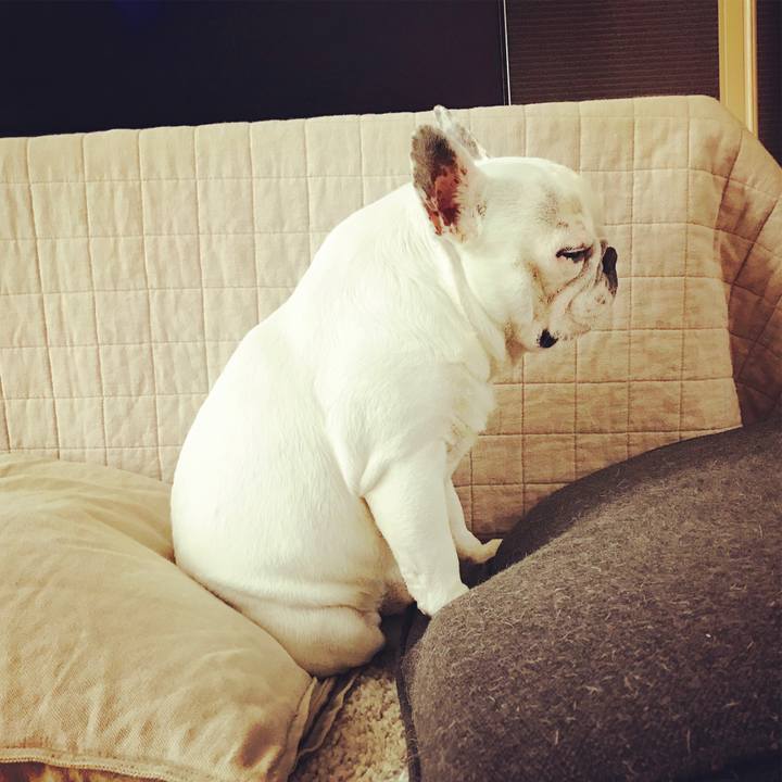 D1d52bfe 3fb2 464e bccd 77825997ae16