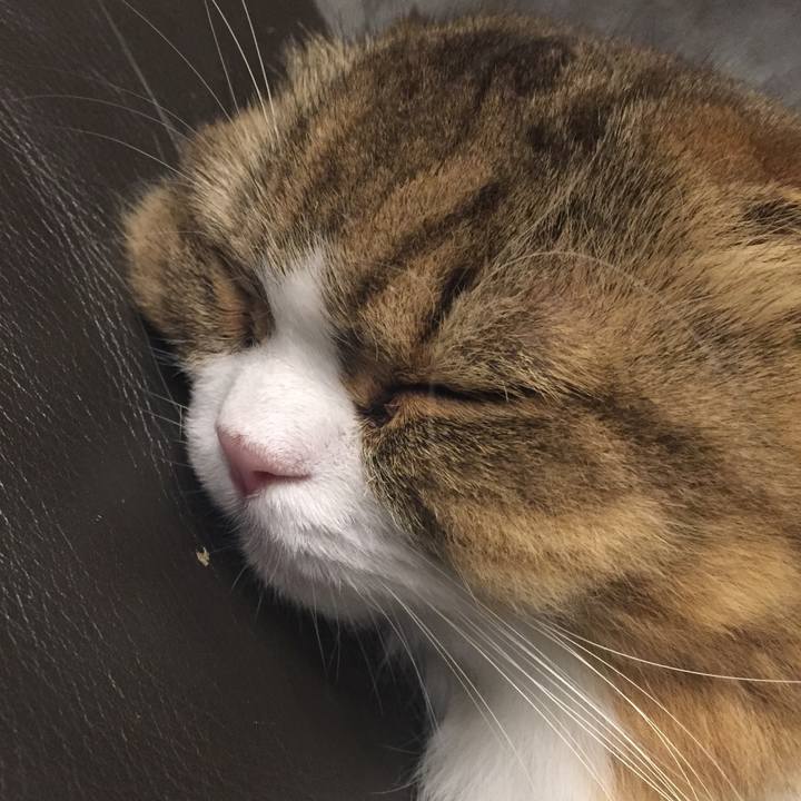 D1d54a3d 6e6c 4d1e 9dd2 a3e60824b48d