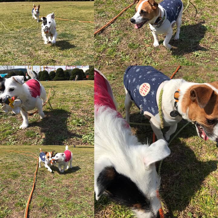 D1d58cbd 1efc 45f3 af3b c03552f61f8a