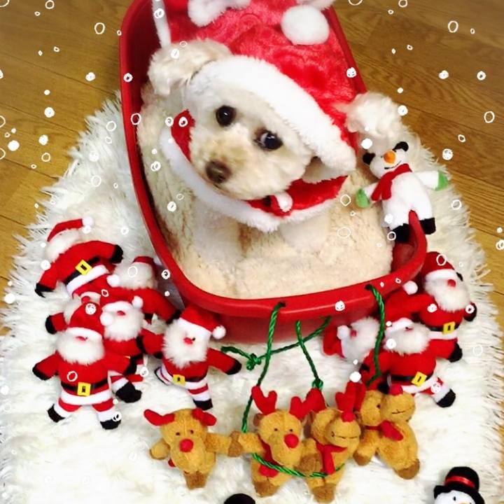 D1d59b3b c3b5 4099 9a53 fe016130d504