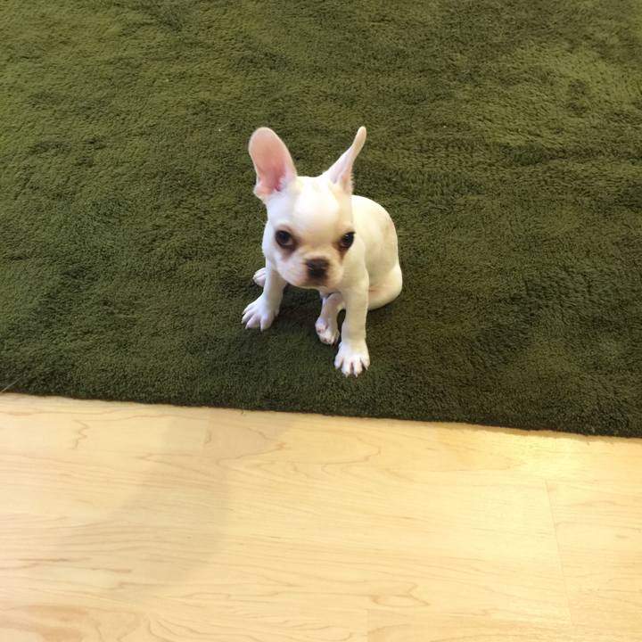 D1d5afb7 6e61 45a2 a7b1 8a40ce3e2929