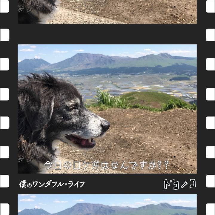 D1d5e08e 0a1f 4757 bfc0 1745483be4a6