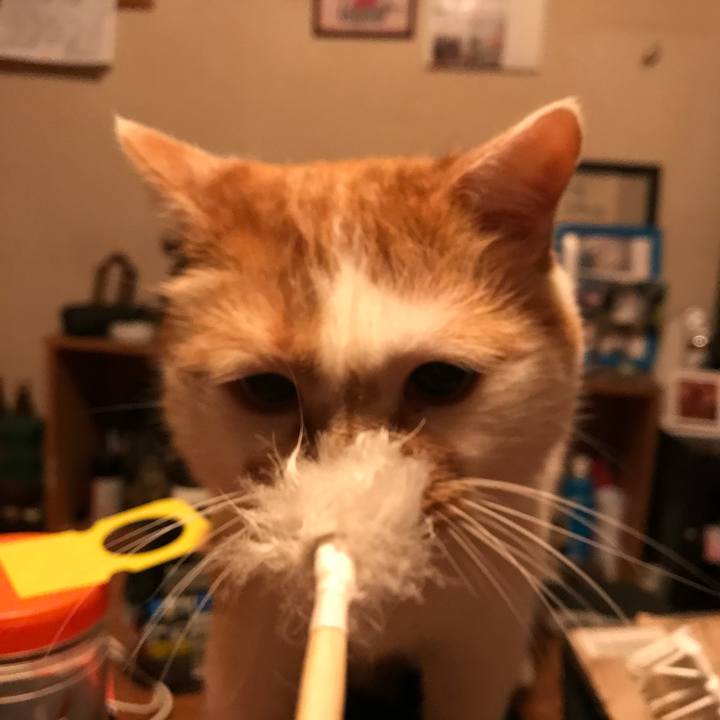 D1d72dfa 9e92 4701 8992 81c4c153a3ea