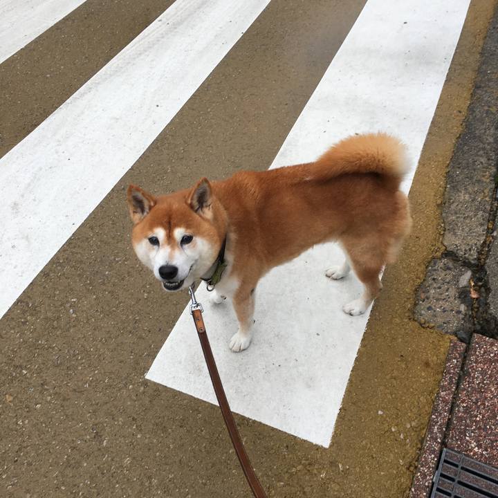 D1d744ec a522 4e1e b65e c2a2e2edf7ad