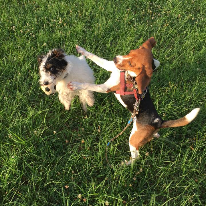 D1d77a2a cffa 4360 9c6a 51abbc1d0e20