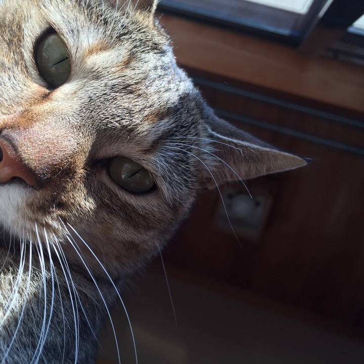 D1d7a0d2 bd1a 4907 a3e6 438e43406cdc