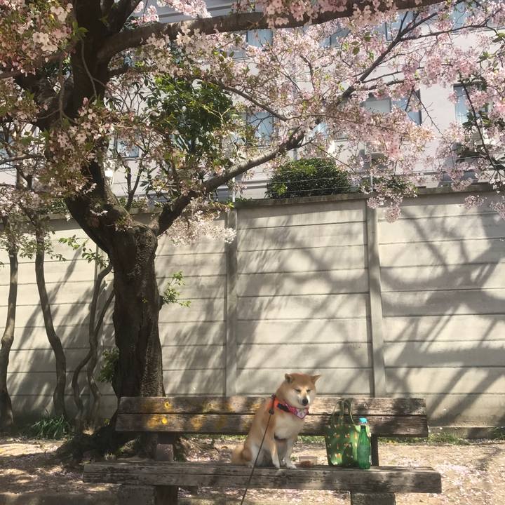 D1d7d37c 8378 4c55 97ab 6e4ddcc6e49f