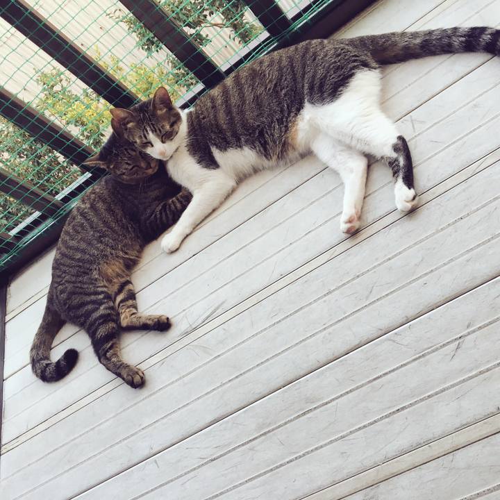 D1d832ac 7ad2 416a a0b5 886397e4f2d1