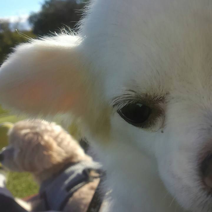 D1d8a5e3 771e 49cc addb cb1396f402fe