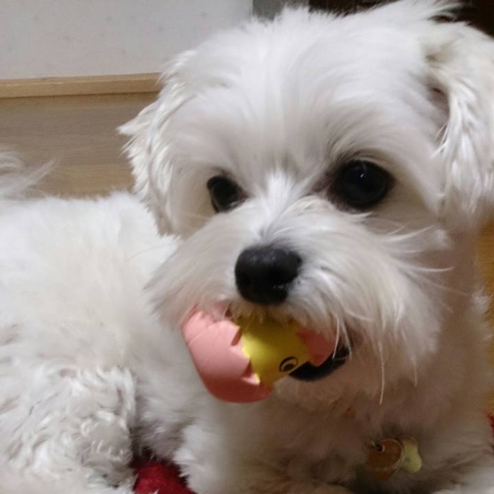 D1d8d004 c8cc 491d 9b5f 04b08686ba0d