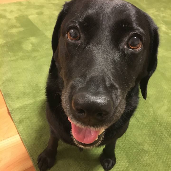 D1d9dc83 6f36 4ccd 92ef fb2df1b291c6