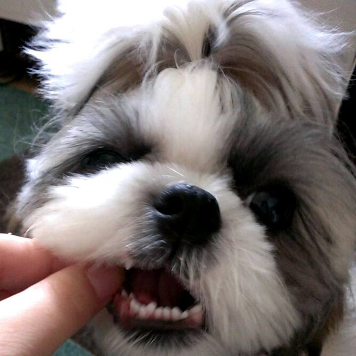 D1da8faf b378 455b a51a dec5d64f75d1