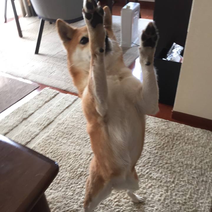 D1db1559 9bf3 4562 9804 b4112101fd26