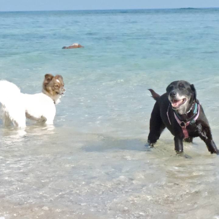 D1dbd65f 4f3b 4c24 9bf7 8b3a50e7cf1d