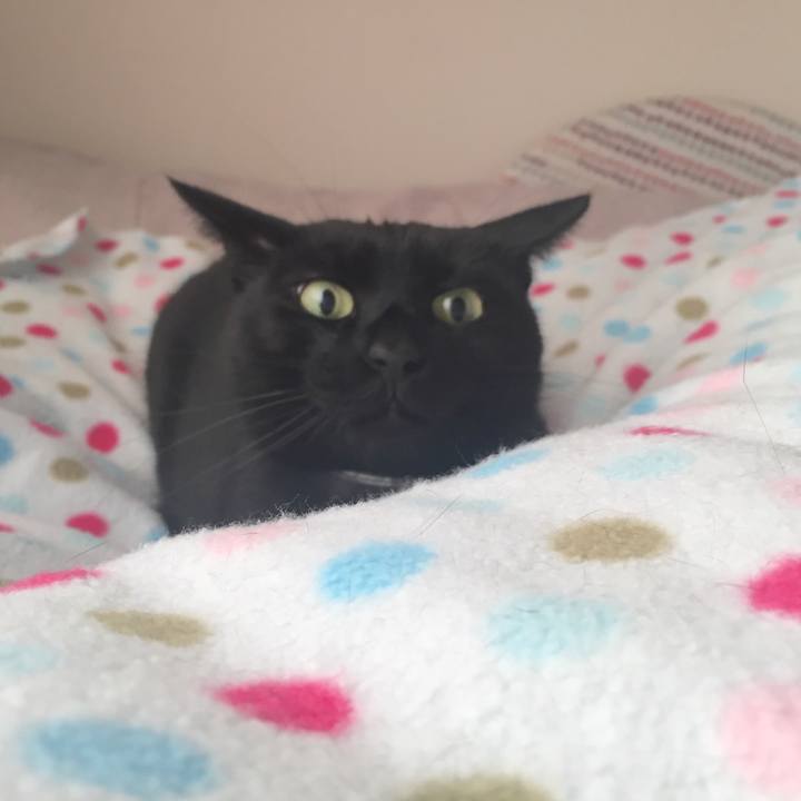 D1dcc019 5a25 4092 b935 06a783e06902