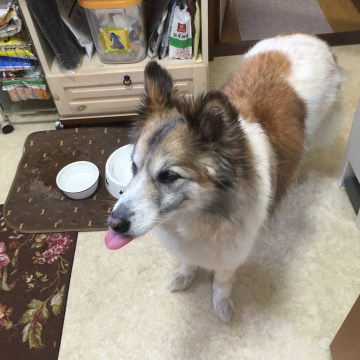 D1ddd869 cce0 418d 87f2 6a4d1cba3666