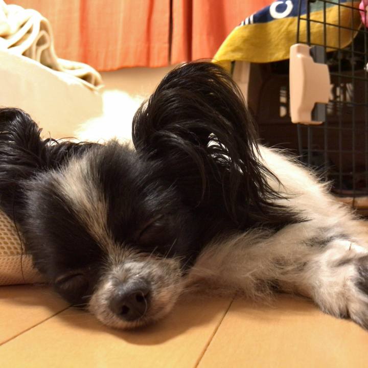 D1de5a62 0293 4aee 8055 61dce2c78f8e