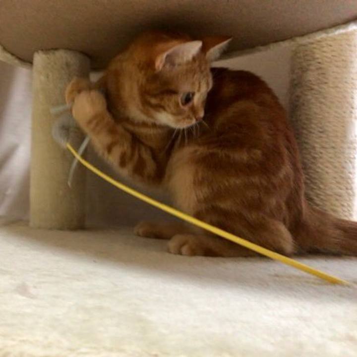 D1ded841 866c 4118 b628 92874b4f4f02