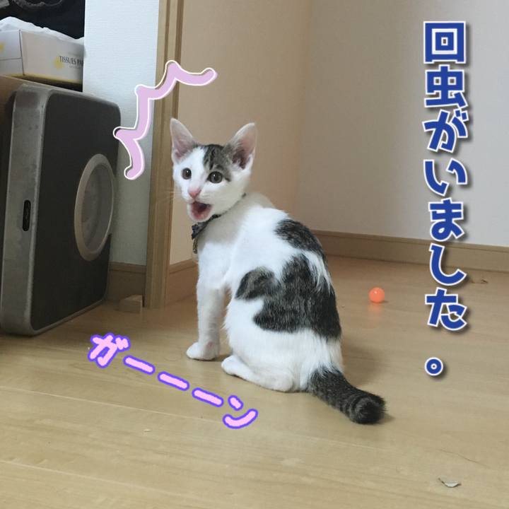 D1dee39c 3a1e 4f68 aca0 539707abfcdf