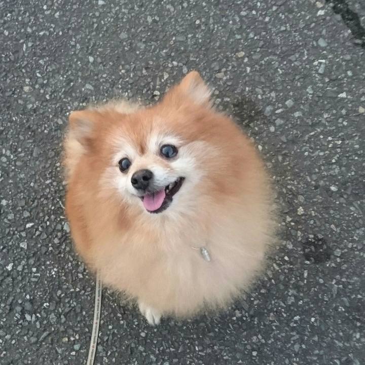 D1df2273 cf2a 4007 9780 586b23cafbcc