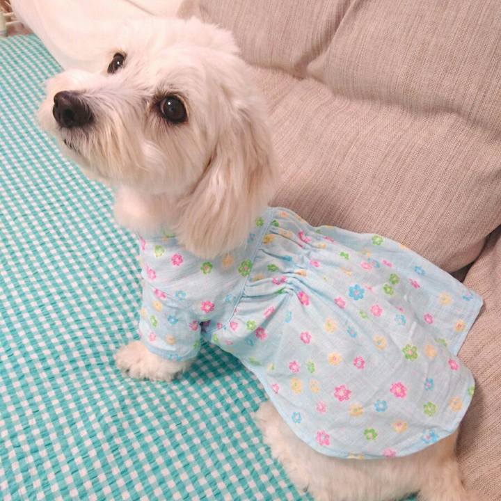 D1df237c cc5b 4ca5 bcd1 bfd8abace7cd