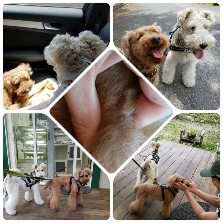 D1df3821 55e6 4e04 8493 0970aa5ac25e