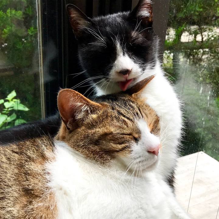 D1df6351 142a 4f06 b355 880162089518