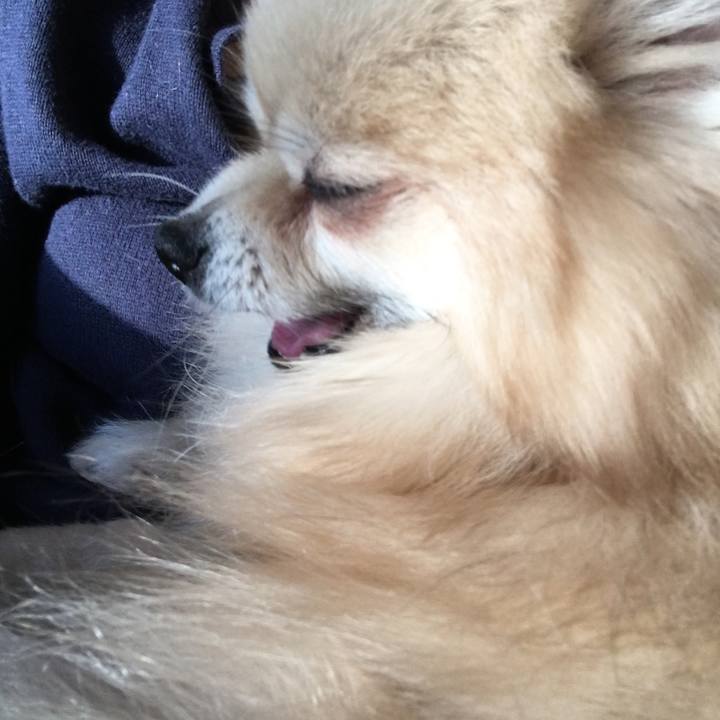 D1dfb458 ea39 4a41 8787 58b531ecb088