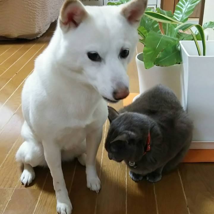 D1dfba51 e9c5 4286 a568 1779063f6aa0