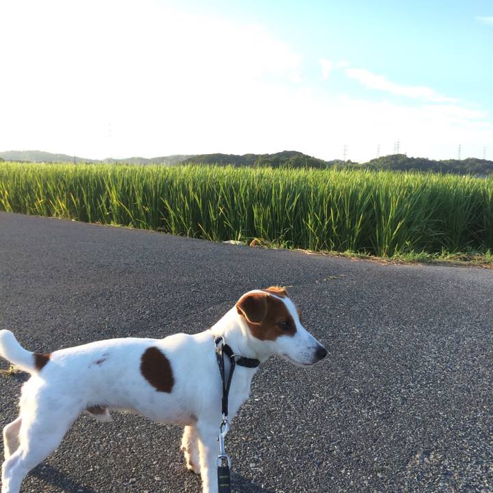 D1dfbded 4c9f 4f26 9367 d9ec73be0bc6