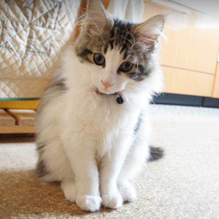 D1dfd3ec 5b64 486b af93 d7e313c3ef9a