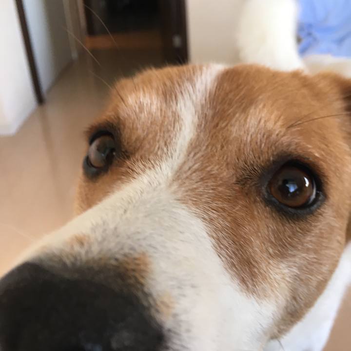 D1dff1aa 79f9 4a02 9756 9ad59fc39d80