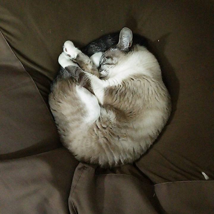 D1e017dc a847 4a6f 838d d26b21f46721