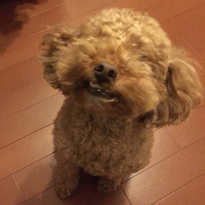 D1e027c1 5836 4f70 8fd7 be55c9b1dafe