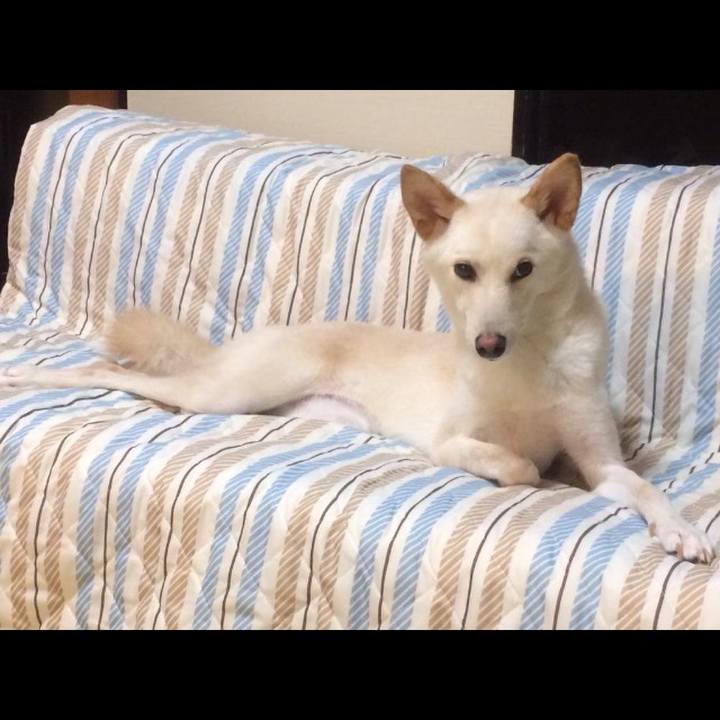 D1e0523d 271f 420a 9880 b2aaec46230f