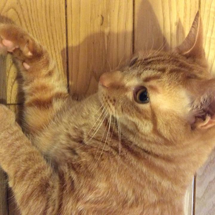 D1e06637 d199 44d1 a853 5517afac7925