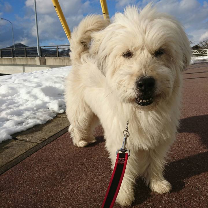 D1e0d148 46f1 4b44 a50d 375b1410fd63