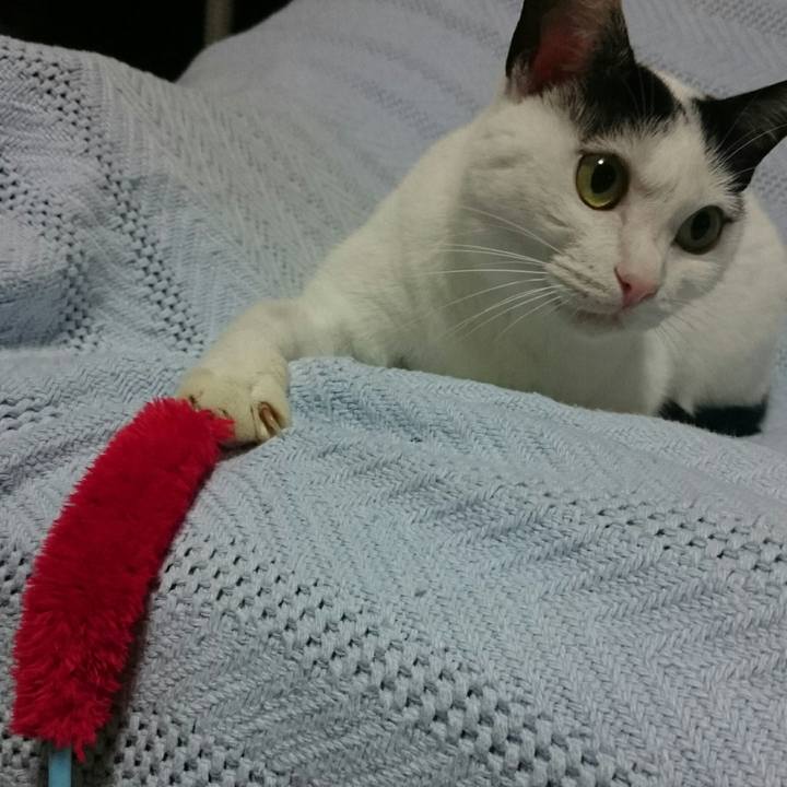 D1e1aa77 aa44 4222 8fb8 456162fabf34