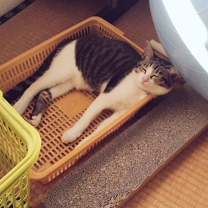 D1e1c3bc 0437 41c7 9b97 a3b1a025d786