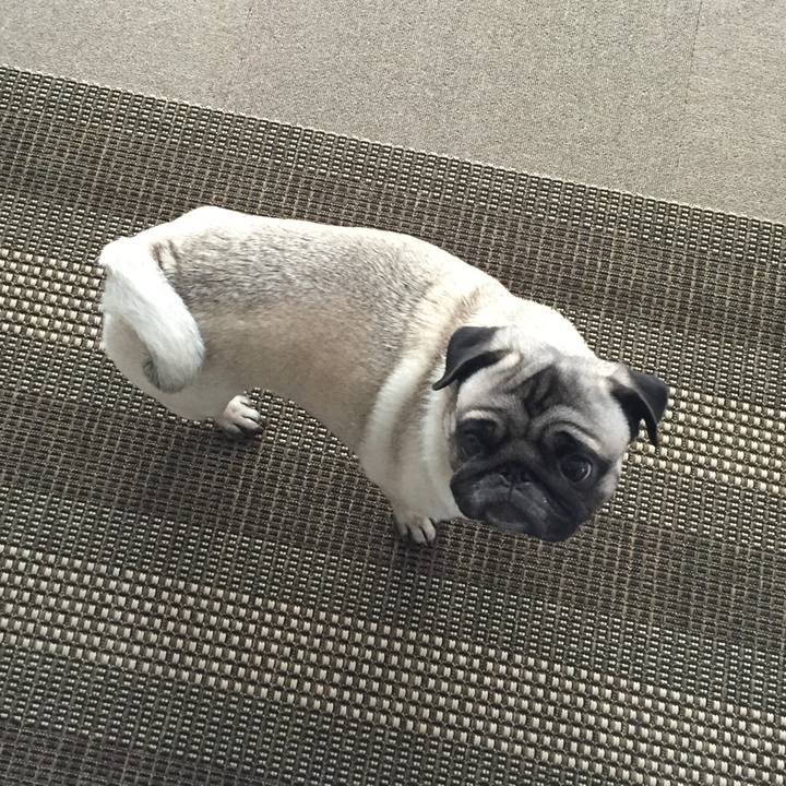 D1e32224 7554 43ab 9f1e 2df7005ecd6c