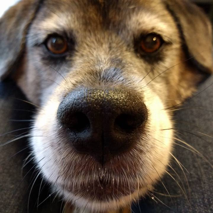 D1e34eda c006 4670 ad2b b81a4a9f810b