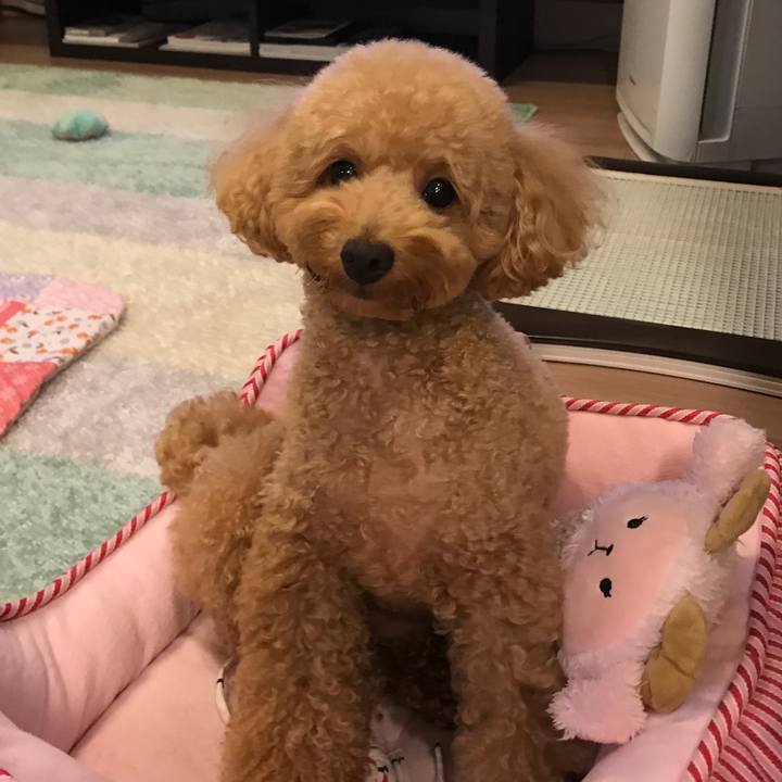 D1e3efe1 0be9 4ecf bf3d 409567a2eabe