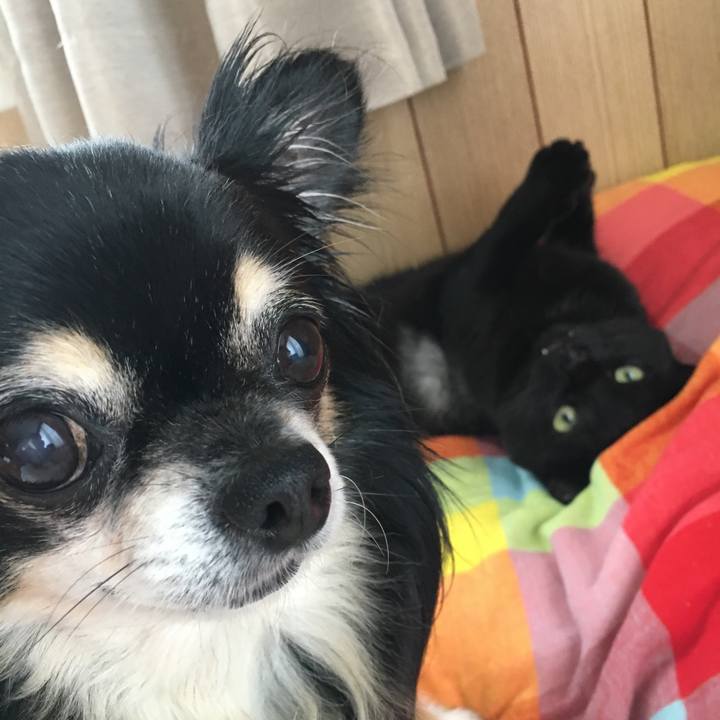 D1e3ff88 082a 43b1 beb7 3cc4085fb911