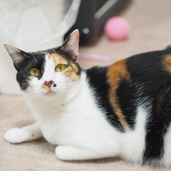 D1e554d0 2ec8 489b b553 c2aae18e03ff