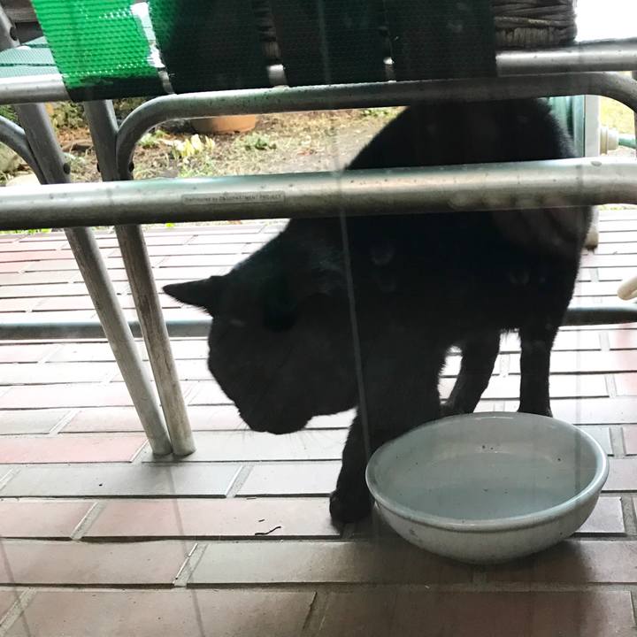 D1e5d3f0 c606 4922 b186 56c18ed15289