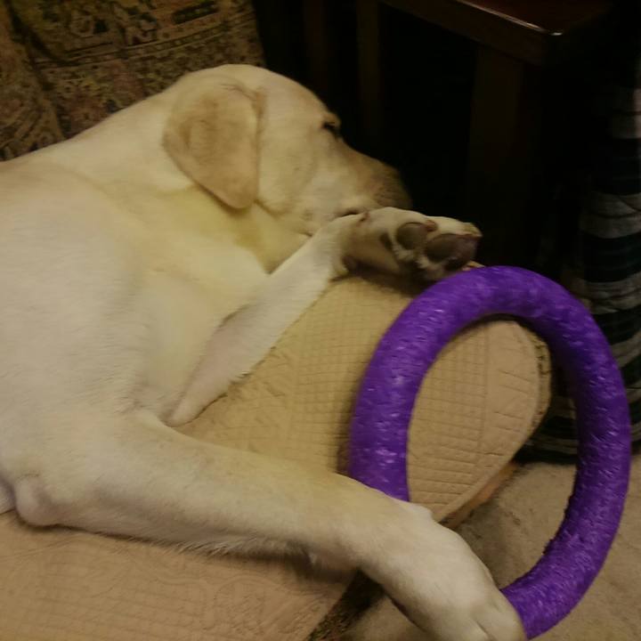 D1e61d2c 5f19 49a9 b401 eccfe8d18b2f