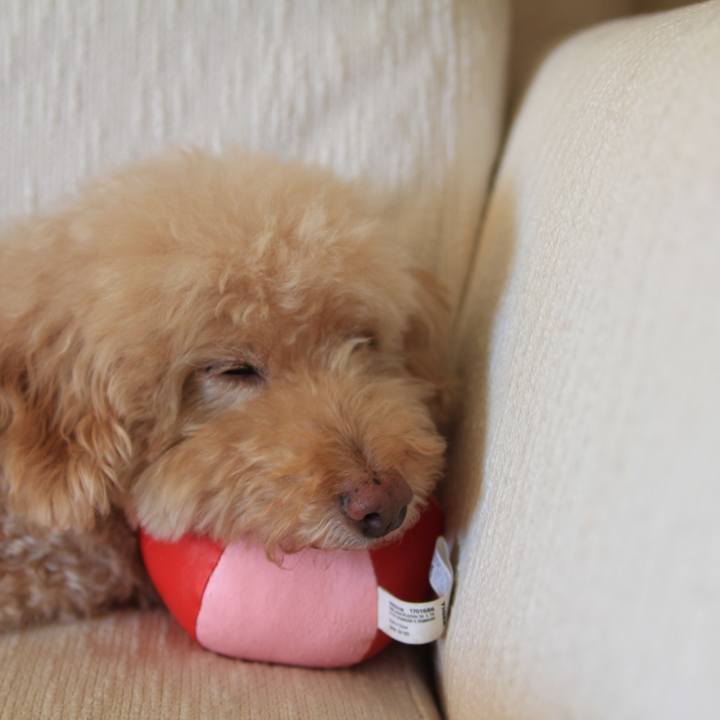 D1e632f9 b235 459d aa3d 750f782c6502