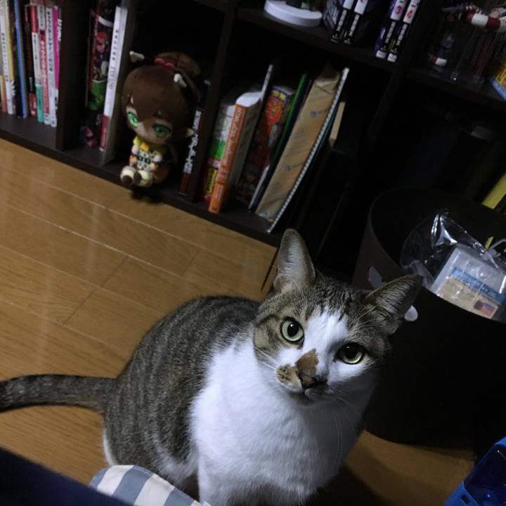 D1e63a15 8d84 473c 9a2c 8566a8f713aa