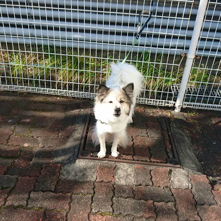 D1e65133 6735 47d1 85d1 1d8418b512c0